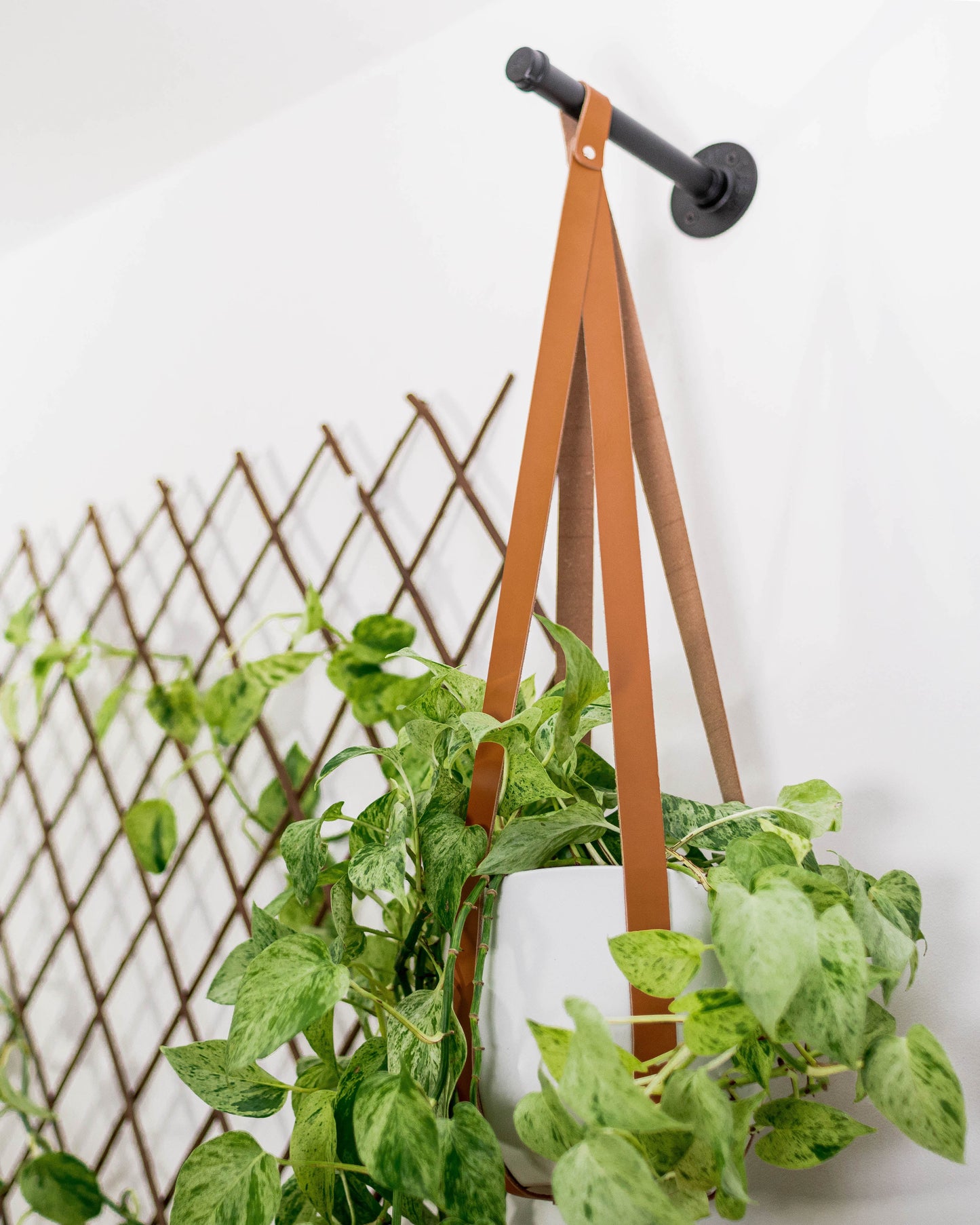 The Plant Wall Kit