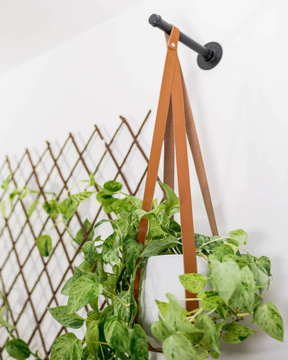The Plant Wall Kit