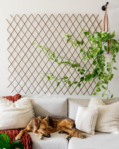 The Plant Wall Kit